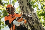 Afbeeldingen van Stihl MSA 161 T Accu kettingzaag 25cm