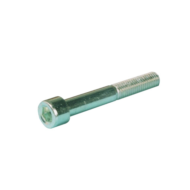 Afbeeldingen van M10 x 100 Cilinderschroef met binnenzeskant, staal verzinkt /8714723040558