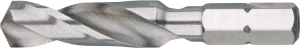 Afbeeldingen van HSS-G Boorbit, DIN 3126, 1/4"-C6.3, ø10,0