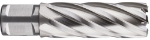 Afbeeldingen van HSS Kernboor SILVER-LINE, weldon 19, ø16x55