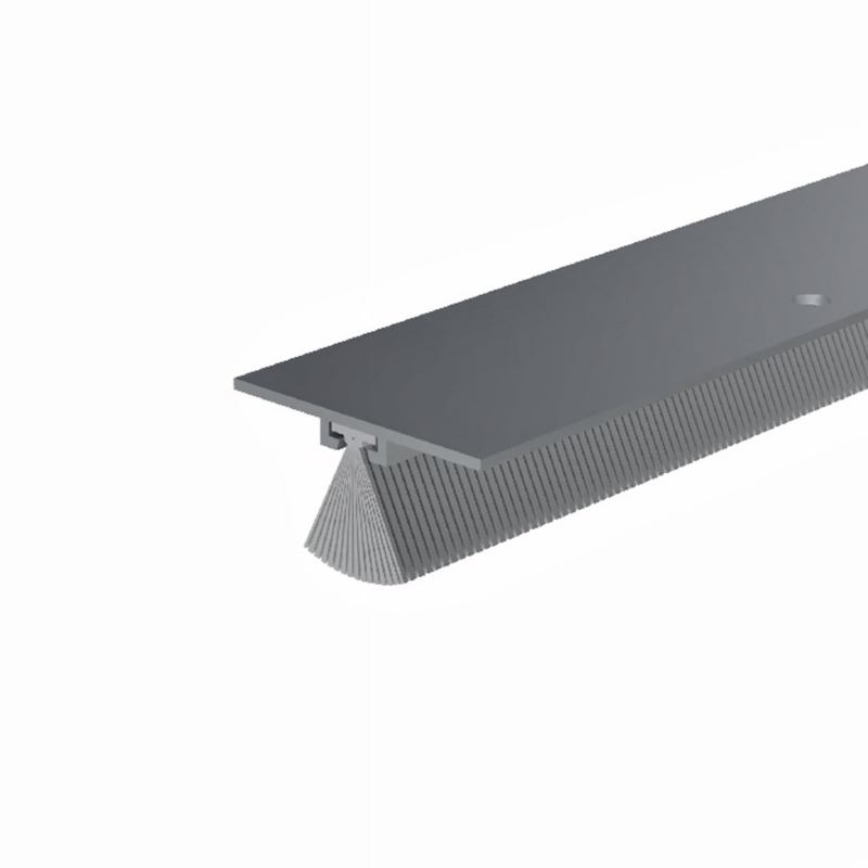 Afbeeldingen van Dorpelprofiel alu DBS-100 onzichbaar