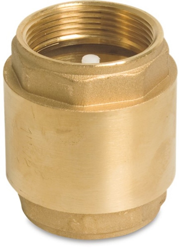 Afbeeldingen van Profec Terugslagklep veerbelast messing 3/4"