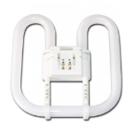 Afbeeldingen van LOSSE LAMP PRIMAELUX 38W2D LT380000