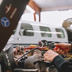 Afbeeldingen van Sani-grijptang 250 mm 10-75 mm