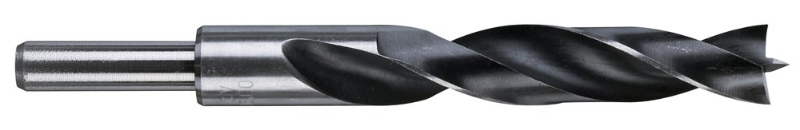 Afbeeldingen van MILWAUKEE® Houtboor BP 16 x 151 - 1 pc