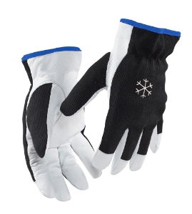 Afbeeldingen van Werkhandschoenen gevoerd 10