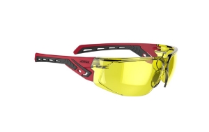 Afbeeldingen van 4tecx® Veiligheidsbril Iris